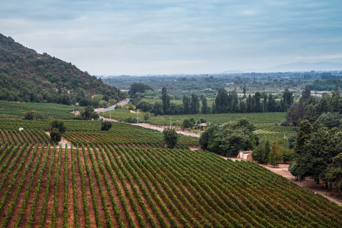 Historia Alimentos Marchant